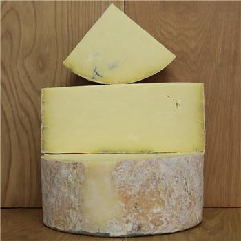 Hafod Cheese - Watson & Pratt's